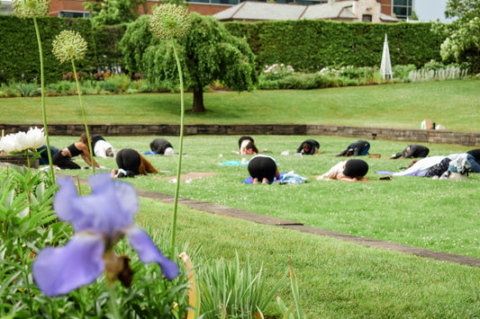 A Night Under the Stars at Parkwood Estates